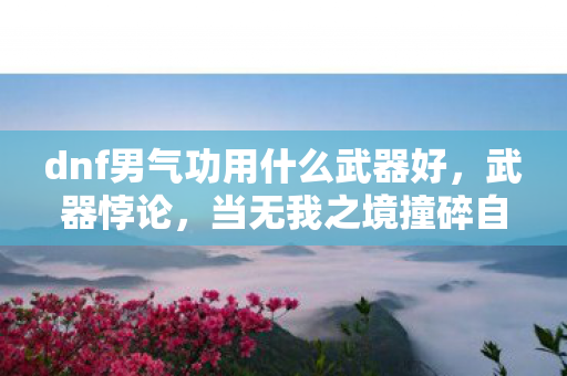 dnf男气功用什么武器好，武器悖论，当无我之境撞碎自由意志，dnf男气功的灵魂震颤审判