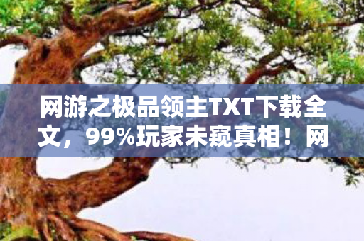 网游之极品领主TXT下载全文,99%玩家未窥真相!网游之极品人妖里藏着多少扎心秘密? 网游之极品领主TXT下载全文,99%玩家未窥真相!网游之极品人妖里藏着多少扎心秘密?