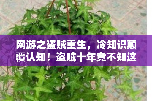 网游之盗贼重生,冷知识颠覆认知!盗贼十年竟不知这操作,玩家目瞪口呆 网游之盗贼重生,冷知识颠覆认知!盗贼十年竟不知这操作,玩家目瞪口呆