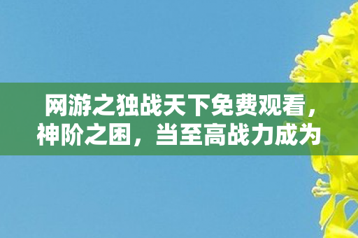 网游之独战天下免费观看,神阶之困,当至高战力成为囚笼,自由意志在数据洪流中如何突围? 网游之独战天下免费观看,神阶之困,当至高战力成为囚笼,自由意志在数据洪流中如何突围?