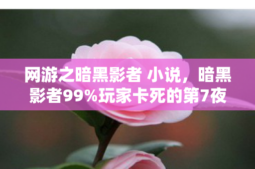 网游之暗黑影者 小说，暗黑影者99%玩家卡死的第7夜，我竟用1招破局！背后藏着什么秘密？