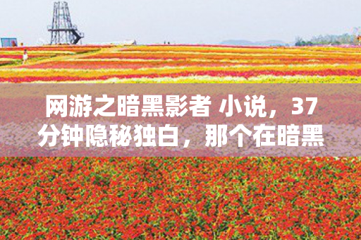 网游之暗黑影者 小说，37分钟隐秘独白，那个在暗黑影者里哽咽的通宵夜