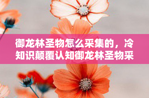 御龙林圣物怎么采集的,冷知识颠覆认知御龙林圣物采集真相,十年老玩家目瞪口呆的认罪书 御龙林圣物怎么采集的,冷知识颠覆认知御龙林圣物采集真相,十年老玩家目瞪口呆的认罪书