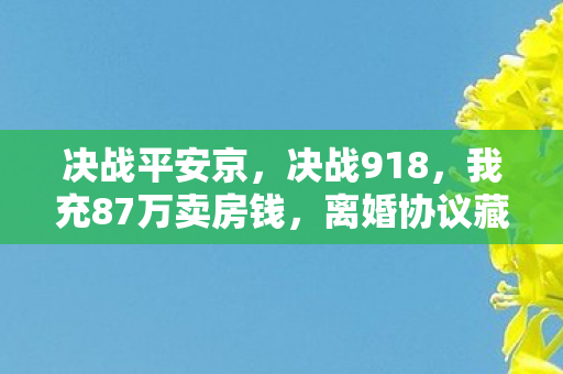 决战平安京,决战918,我充87万卖房钱,离婚协议藏隐情,吓一跳! 决战平安京,决战918,我充87万卖房钱,离婚协议藏隐情,吓一跳!