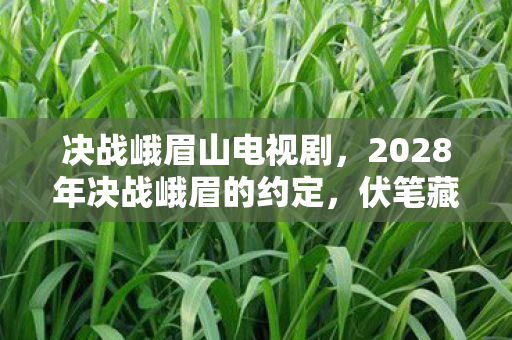 决战峨眉山电视剧，2028年决战峨眉的约定，伏笔藏了十年，如今想起鼻子一酸