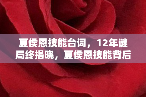 夏侯恩技能台词,12年谜局终揭晓,夏侯恩技能背后的泪目真相 夏侯恩技能台词,12年谜局终揭晓,夏侯恩技能背后的泪目真相