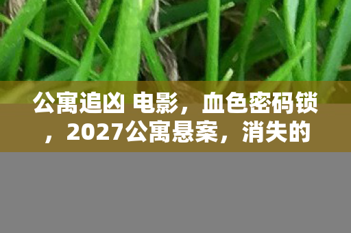公寓追凶 电影,血色密码锁,2027公寓悬案,消失的住户与永不熄灭的电子烛光 公寓追凶 电影,血色密码锁,2027公寓悬案,消失的住户与永不熄灭的电子烛光