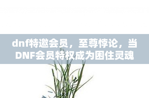 dnf特邀会员,至尊悖论,当DNF会员特权成为困住灵魂的黄金枷锁 dnf特邀会员,至尊悖论,当DNF会员特权成为困住灵魂的黄金枷锁