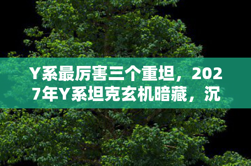 Y系最厉害三个重坦,2027年Y系坦克玄机暗藏,沉默的钢铁巨兽藏着什么致命真相? Y系最厉害三个重坦,2027年Y系坦克玄机暗藏,沉默的钢铁巨兽藏着什么致命真相?