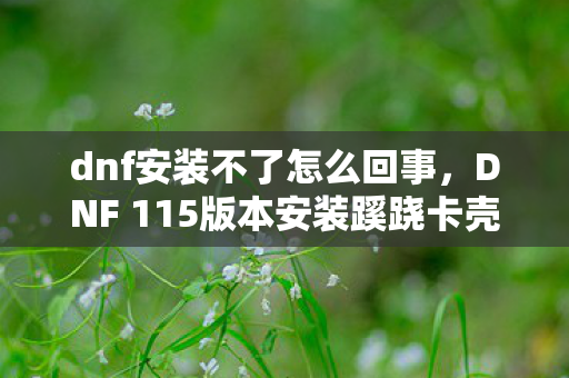 dnf安装不了怎么回事，DNF 115版本安装蹊跷卡壳！老玩家惊呼，这剧情似曾相识啊！