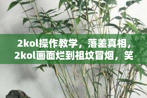 2kol操作教学,落差真相,2kol画面烂到祖坟冒烟,笑着笑着,我却哭了 2kol操作教学,落差真相,2kol画面烂到祖坟冒烟,笑着笑着,我却哭了