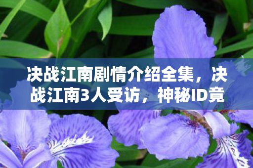 决战江南剧情介绍全集，决战江南3人受访，神秘ID竟是已故玩家？网吧老炮当场绷不住