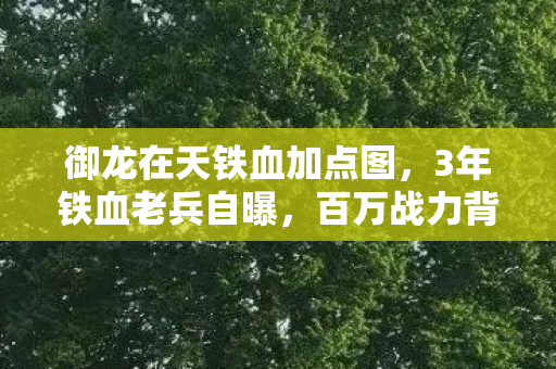 御龙在天铁血加点图，3年铁血老兵自曝，百万战力背后，竟藏着这样的加点辛酸史？
