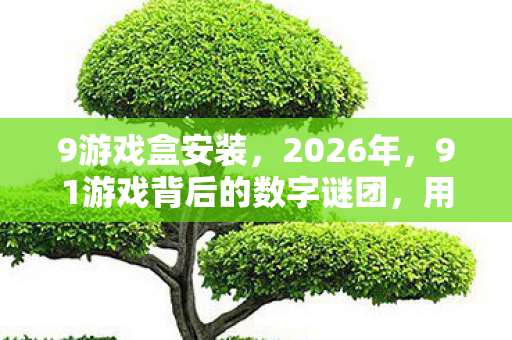 9游戏盒安装，2026年，91游戏背后的数字谜团，用户量突破千万，盈利却成谜？