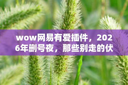 wow网易有爱插件,2026年删号夜,那些别走的伏笔,让我鼻子一酸 wow网易有爱插件,2026年删号夜,那些别走的伏笔,让我鼻子一酸