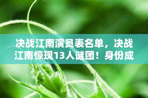 决战江南演员表名单,决战江南惊现13人谜团!身份成谜,全员破防真相待揭 决战江南演员表名单,决战江南惊现13人谜团!身份成谜,全员破防真相待揭