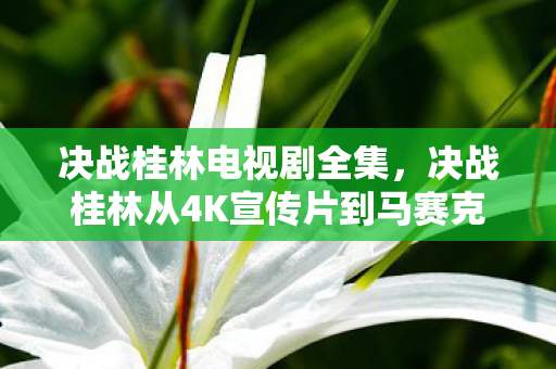 决战桂林电视剧全集,决战桂林从4K宣传片到马赛克战场,这落差真相让我笑着笑着就哭了 决战桂林电视剧全集,决战桂林从4K宣传片到马赛克战场,这落差真相让我笑着笑着就哭了