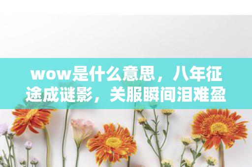 wow是什么意思，八年征途成谜影，关服瞬间泪难盈
