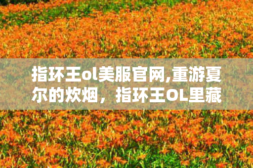 指环王ol美服官网,重游夏尔的炊烟，指环王OL里藏着的中土旧梦