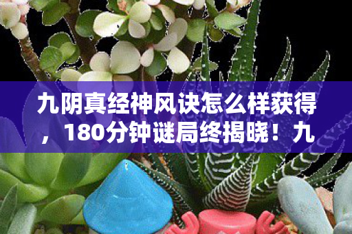 九阴真经神风诀怎么样获得,180分钟谜局终揭晓!九阴真经神风诀死亡时间线泪目曝光 九阴真经神风诀怎么样获得,180分钟谜局终揭晓!九阴真经神风诀死亡时间线泪目曝光