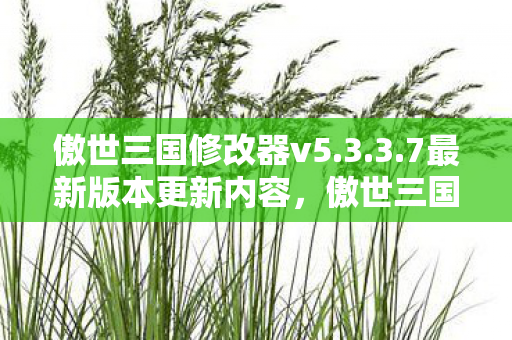 傲世三国修改器v5.3.3.7最新版本更新内容，傲世三国修改器，从神作滤镜到电子垃圾的落差真相，笑着笑着就哭了
