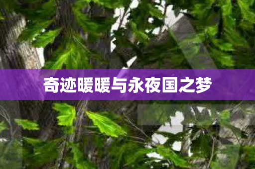 奇迹暖暖与永夜国之梦图片
