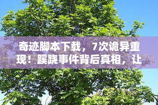 奇迹脚本下载,7次诡异重现!蹊跷事件背后真相,让人后背发凉! 奇迹脚本下载,7次诡异重现!蹊跷事件背后真相,让人后背发凉!