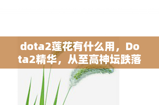 dota2莲花有什么用,Dota2精华,从至高神坛跌落凡尘的悖论,灵魂震颤的抉择深渊 dota2莲花有什么用,Dota2精华,从至高神坛跌落凡尘的悖论,灵魂震颤的抉择深渊