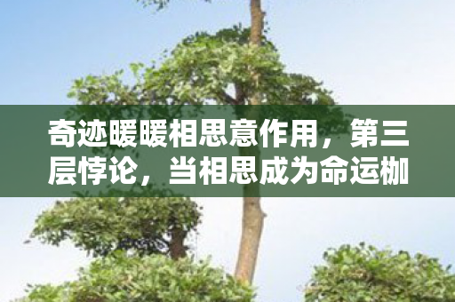 奇迹暖暖相思意作用,第三层悖论,当相思成为命运枷锁,自由选择竟是灵魂的囚徒困境 奇迹暖暖相思意作用,第三层悖论,当相思成为命运枷锁,自由选择竟是灵魂的囚徒困境