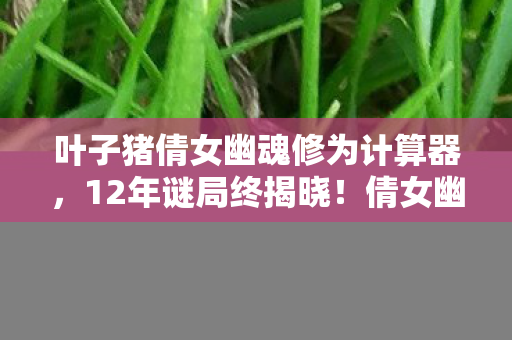 叶子猪倩女幽魂修为计算器,12年谜局终揭晓!倩女幽魂的江湖为何让百万玩家泪目? 叶子猪倩女幽魂修为计算器,12年谜局终揭晓!倩女幽魂的江湖为何让百万玩家泪目?