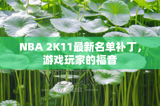NBA 2K11最新名单补丁图片
