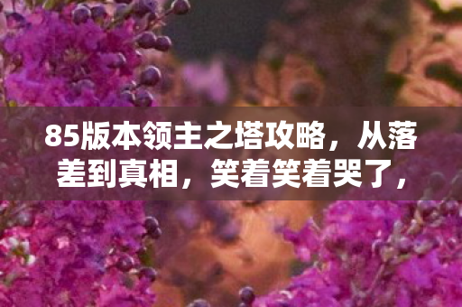 85版本领主之塔攻略,从落差到真相,笑着笑着哭了,85版本领主之塔的退坑闹剧 85版本领主之塔攻略,从落差到真相,笑着笑着哭了,85版本领主之塔的退坑闹剧