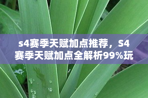 s4赛季天赋加点推荐,S4赛季天赋加点全解析99%玩家踩过的坑+独家心得避雷指南 s4赛季天赋加点推荐,S4赛季天赋加点全解析99%玩家踩过的坑+独家心得避雷指南