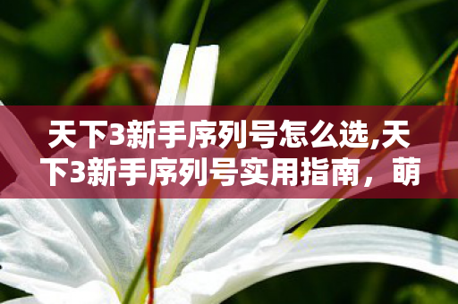 天下3新手序列号怎么选,天下3新手序列号实用指南,萌新入坑的专属福利攻略 天下3新手序列号怎么选,天下3新手序列号实用指南,萌新入坑的专属福利攻略
