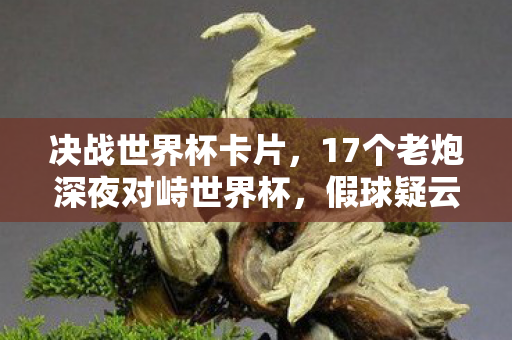决战世界杯卡片，17个老炮深夜对峙世界杯，假球疑云炸出退坑大佬，最后一句手术绷不住了