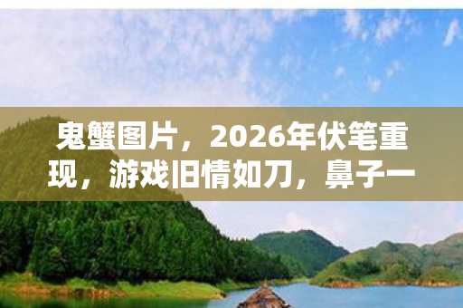 鬼蟹图片,2026年伏笔重现,游戏旧情如刀,鼻子一酸忆往昔 鬼蟹图片,2026年伏笔重现,游戏旧情如刀,鼻子一酸忆往昔