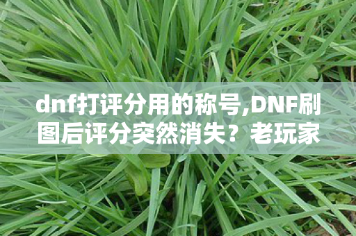 dnf打评分用的称号,DNF刷图后评分突然消失?老玩家亲测这几招快速找回显示 dnf打评分用的称号,DNF刷图后评分突然消失?老玩家亲测这几招快速找回显示