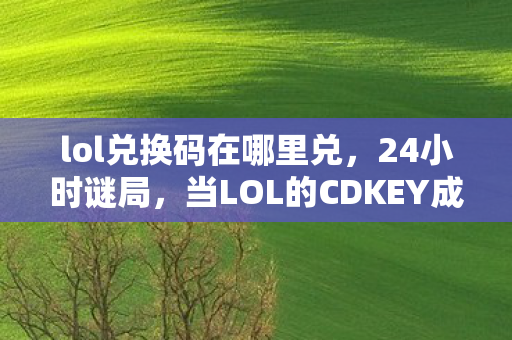lol兑换码在哪里兑,24小时谜局,当LOL的CDKEY成为数字墓碑,谁在敲响最后的泪目钟声? lol兑换码在哪里兑,24小时谜局,当LOL的CDKEY成为数字墓碑,谁在敲响最后的泪目钟声?