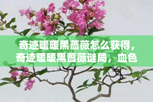 奇迹暖暖黑蔷薇怎么获得，奇迹暖暖黑蔷薇谜局，血色线索下的悬案，毛骨悚然真相待揭