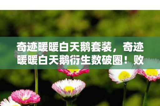 奇迹暖暖白天鹅套装，奇迹暖暖白天鹅衍生数破圈！败家玩家竟为它倾家荡产到意想不到！