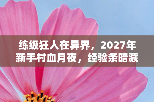 练级狂人在异界,2027年新手村血月夜,经验条暗藏死亡密码,百名玩家离奇失踪悬案 练级狂人在异界,2027年新手村血月夜,经验条暗藏死亡密码,百名玩家离奇失踪悬案