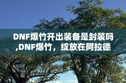 DNF爆竹开出装备是封装吗,DNF爆竹,绽放在阿拉德新春里的细碎烟火记忆 DNF爆竹开出装备是封装吗,DNF爆竹,绽放在阿拉德新春里的细碎烟火记忆