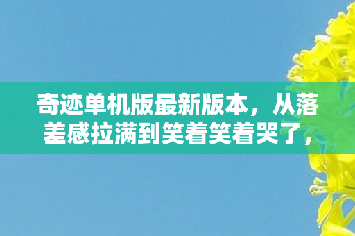 奇迹单机版最新版本，从落差感拉满到笑着笑着哭了，奇迹单机版真相竟是自欺欺人？