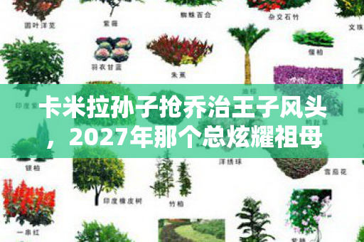 卡米拉孙子抢乔治王子风头,2027年那个总炫耀祖母的男孩,伏笔藏了十年,如今想起鼻子一酸 卡米拉孙子抢乔治王子风头,2027年那个总炫耀祖母的男孩,伏笔藏了十年,如今想起鼻子一酸