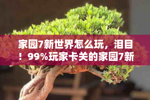 家园7新世界怎么玩,泪目!99%玩家卡关的家园7新世界,这3个技巧让我绝境翻盘! 家园7新世界怎么玩,泪目!99%玩家卡关的家园7新世界,这3个技巧让我绝境翻盘!