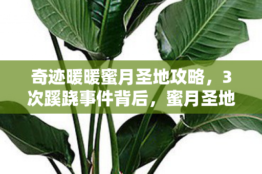 奇迹暖暖蜜月圣地攻略,3次蹊跷事件背后,蜜月圣地竟让玩家后背发凉! 奇迹暖暖蜜月圣地攻略,3次蹊跷事件背后,蜜月圣地竟让玩家后背发凉!