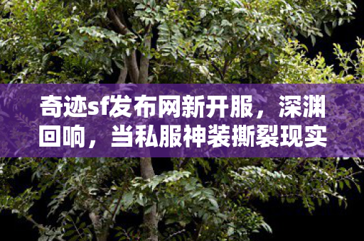 奇迹sf发布网新开服,深渊回响,当私服神装撕裂现实法则,我听见命运齿轮的锈蚀声 奇迹sf发布网新开服,深渊回响,当私服神装撕裂现实法则,我听见命运齿轮的锈蚀声