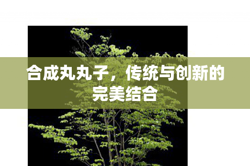 传统与创新的完美结合图片