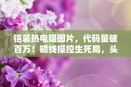 铠装热电阻图片,代码量破百万!暗线操控生死局,头皮发麻的虚拟霸主竟是社恐? 铠装热电阻图片,代码量破百万!暗线操控生死局,头皮发麻的虚拟霸主竟是社恐?