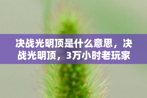 决战光明顶是什么意思,决战光明顶,3万小时老玩家身份成谜,背后竟藏着这般心酸! 决战光明顶是什么意思,决战光明顶,3万小时老玩家身份成谜,背后竟藏着这般心酸!